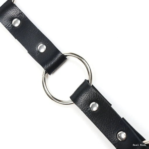 Kinky 5853 EverydayUse Leash with and Collar Anal Hook 0210